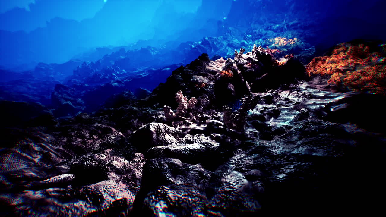 explorando las vibrantes texturas del fondo marino bajo el agua durante el día