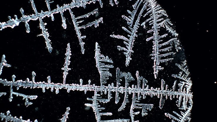 Macro view of intricate ice crystal patterns