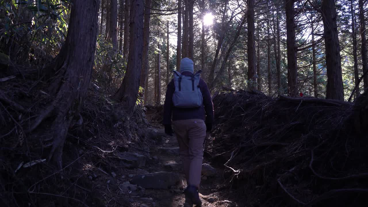espalda de un excursionista masculino con ropa de invierno caminando por el bosque temprano en la mañana