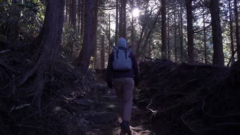 Back-of-male-hiker-in-winter-clothes-hiking-through-forest-early-in-the-morning