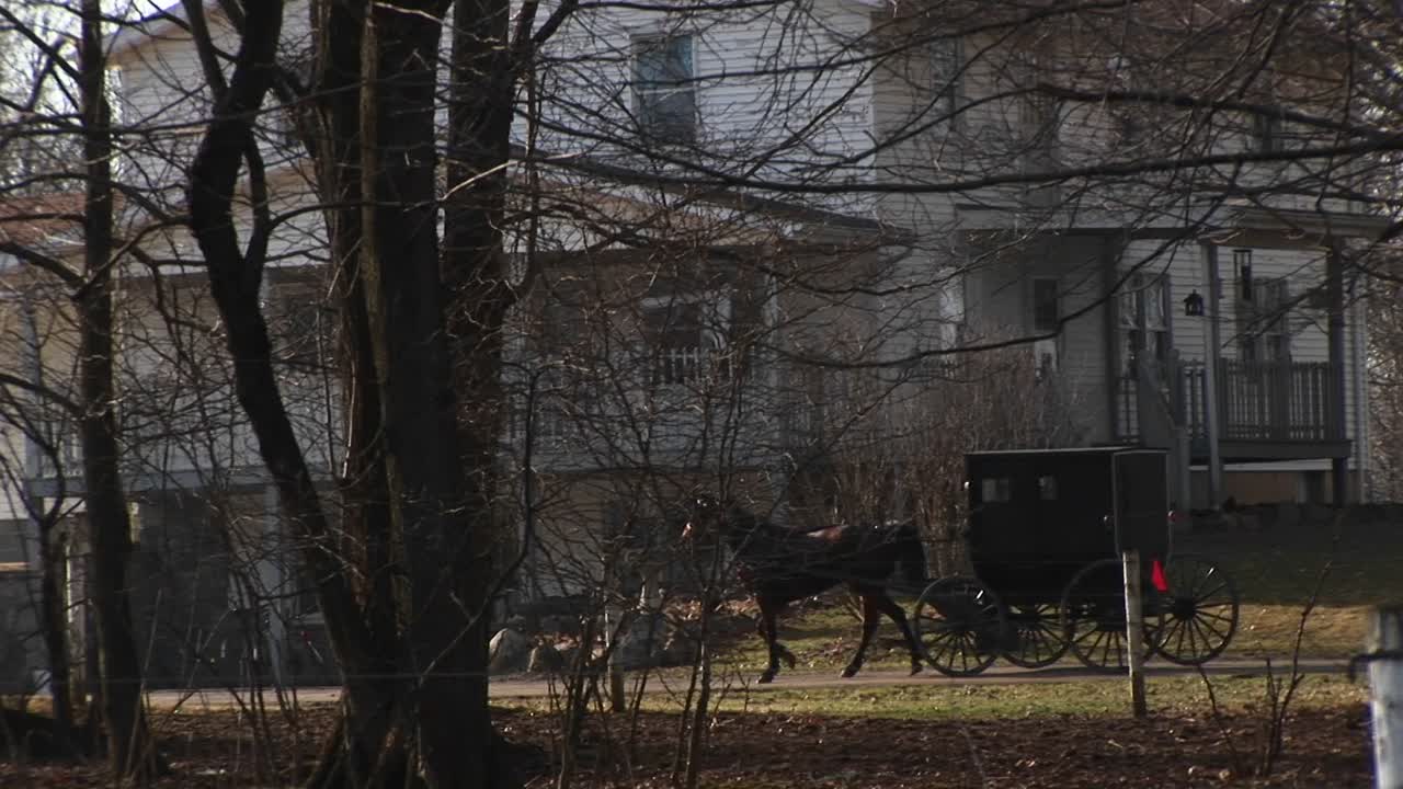 아미쉬 버기카가 큰 시골집을 지나다