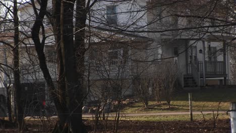 an amish buggy travels by a large rural home