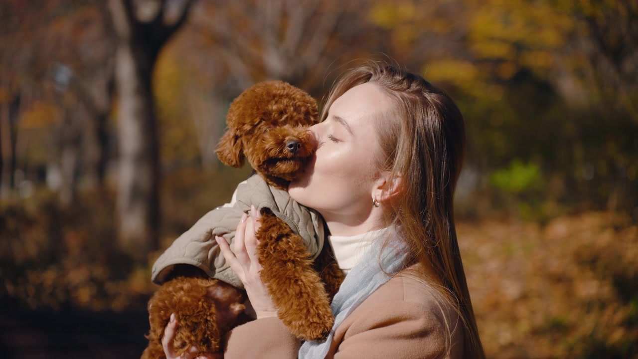 Bella donna bionda che coccola il suo cagnolino Barboncino Toy. Baci e abbracci. Emozioni felici e sorridenti in un parco autunnale all'aperto - primo piano al rallentatore