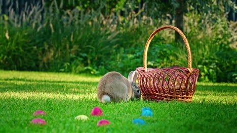 conejo de pascua en un jardín con canasta y huevos