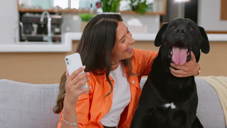 selfie de perro, mujer y sofá de sala de estar con animal