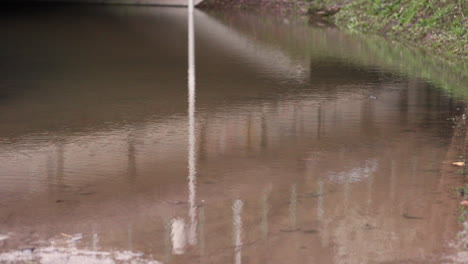 acqua sporca e stagnante sotto il ponte a leiria, in portogallo, dopo la pioggia - inclinazione verso l'alto