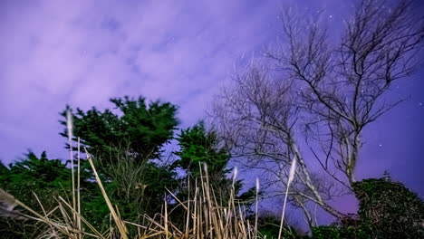 Lapso-De-Tiempo-Del-Cielo-Nocturno-Con-Estrellas-Y-Nubes-En-La-Naturaleza-Del-Campo