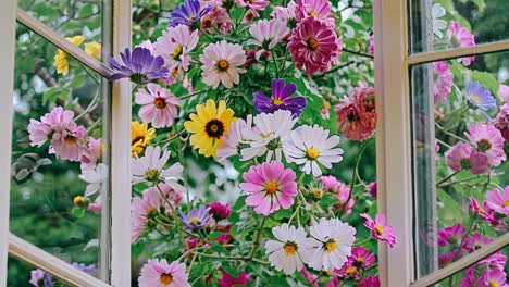 colorful flowers at an open window