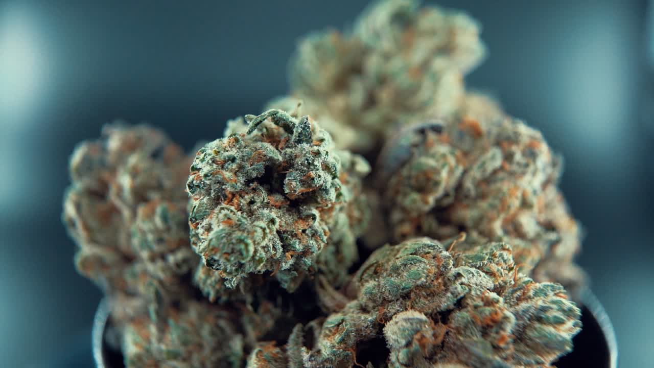 A macro close up tasty shot of a cannabis plant, marijuana flower, hybrid strains, Indica and sativa, on a 360 rotating stand in a shiny bowl, 120 fps slow motion Full HD video, studio lighting