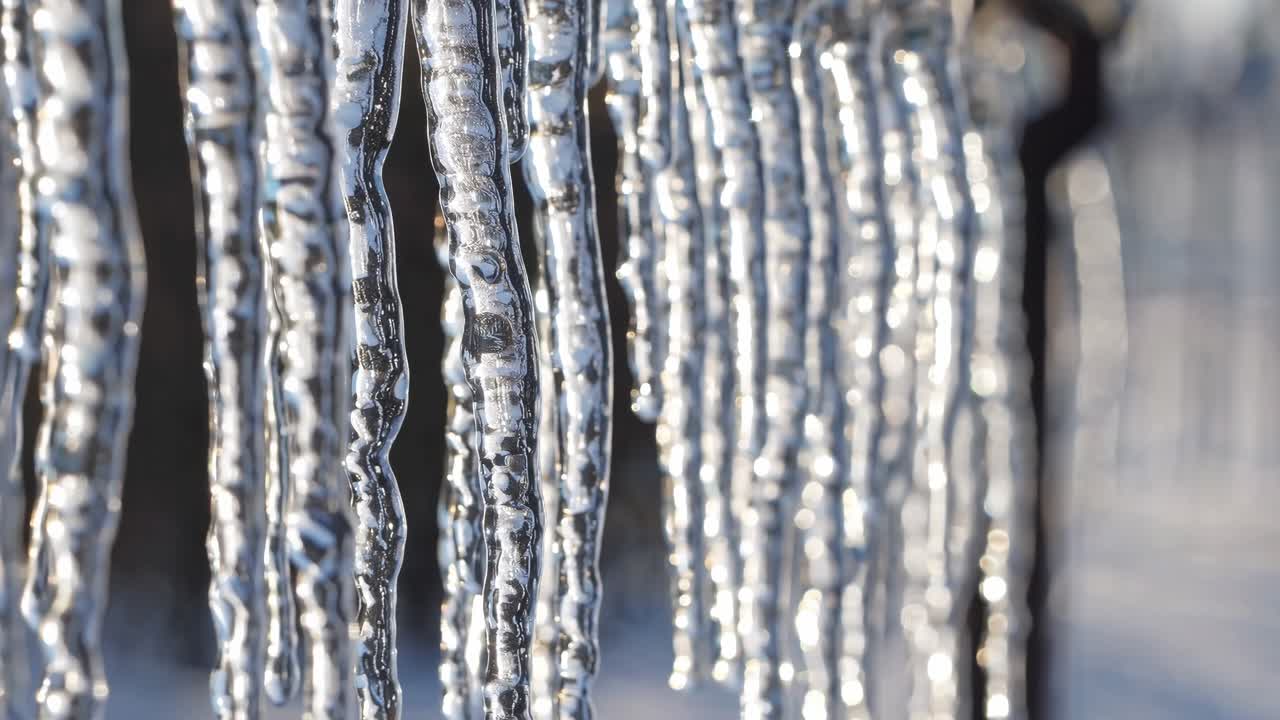 Close-up of icicles glistening in sunlight, captured from a side angle
