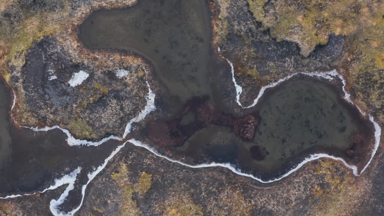 paisaje pantanoso con charco de agua, entorno cubierto de hierba, de arriba hacia abajo