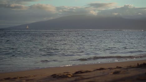 Maui has many beaches and natural areas all over the small Hawaiian island and sits in between the Big Island and Oahu. It features beautiful sunsets and swimmable retreats that scatter the island.
