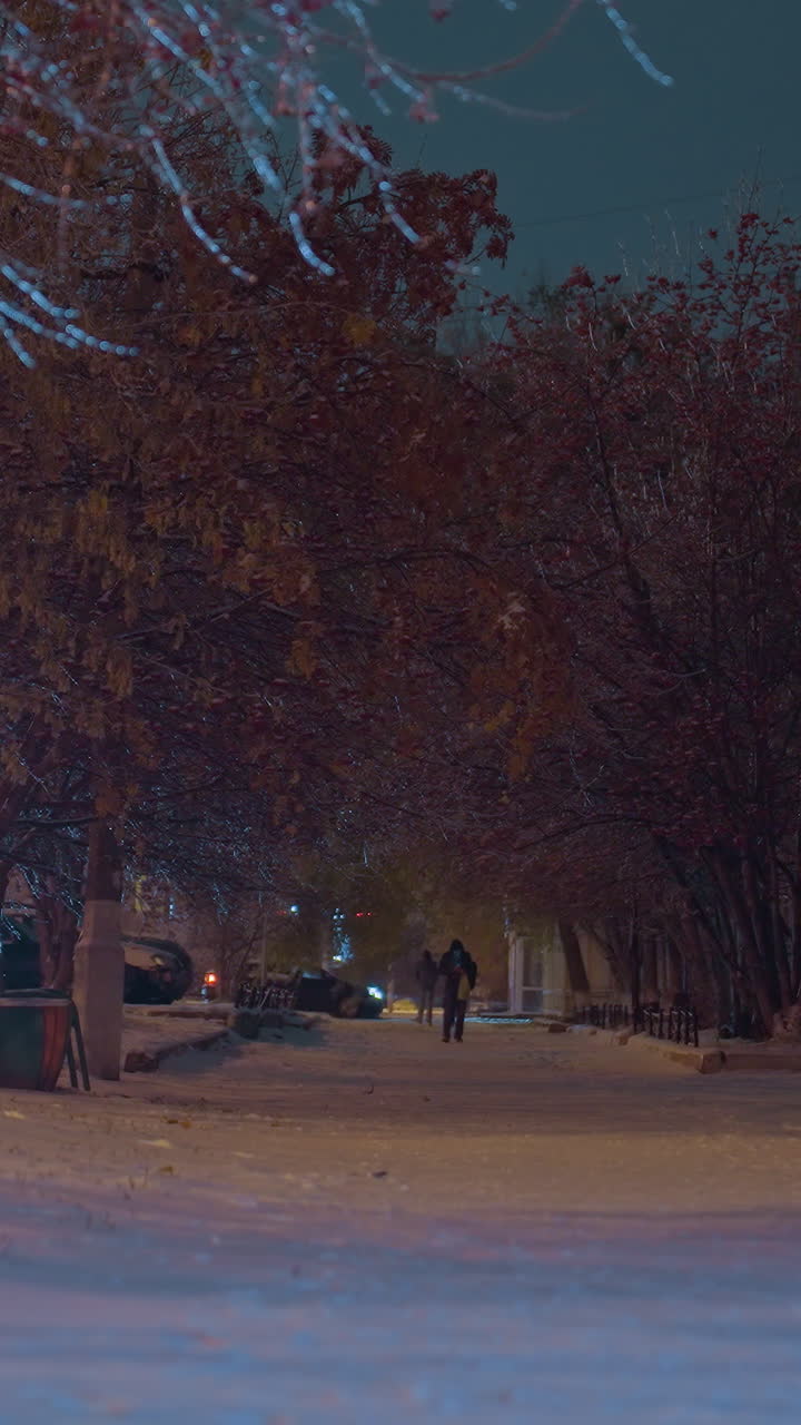 жилые здания и покрытые снегом улицы в зимний вечер с размытыми фигурами, идущими на расстоянии, фары автомобилей, освещающие морозные деревья