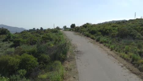 aerial move forward over an abandoned road covered in overgrown vegetation on a summer day. rustic scene, neglected path, lush greenery, overgrown foliage, summer landscape, nature reclaiming.