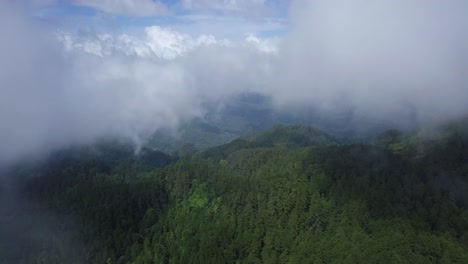 aerial view of green mountains covers by dense