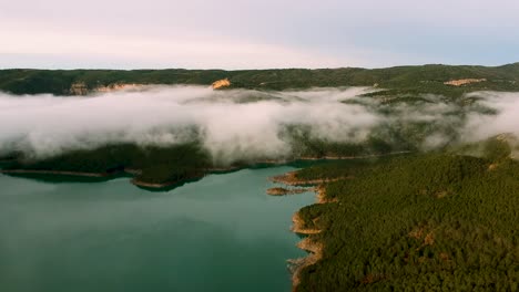 fog cover the green vegetation in catalonia spain mountain