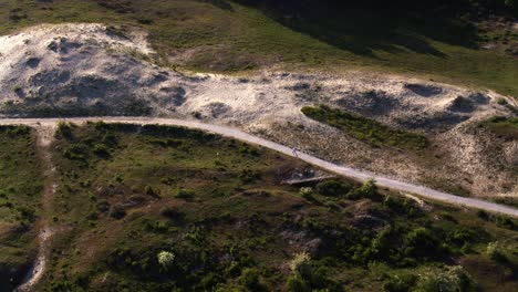 drone tracking male running on twisted trail through lush oostvoorne dune forest