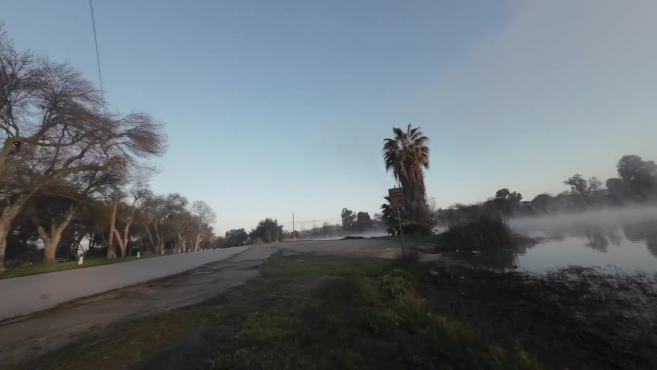 Volando appena sopra il terreno e sotto i rami degli alberi in un parco nebbioso.