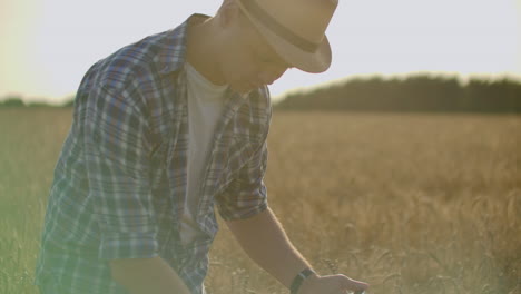 Granjero-Que-Usa-Tableta-En-Campo-De-Trigo.-Científico-Que-Trabaja-En-El-Campo-Con-Tecnología-Agrícola.-Cerca-De-La-Mano-Del-Hombre-Tocando-Tablet-Pc-En-Tallos-De-Trigo.-Agrónomo-Investigando-Espigas-De-Trigo