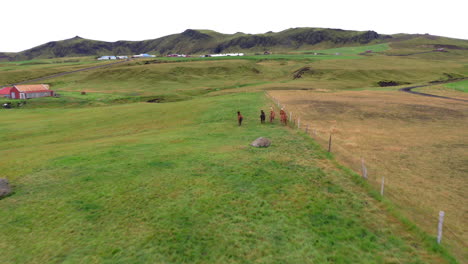 aerial: following a herd of horses running on a green valley