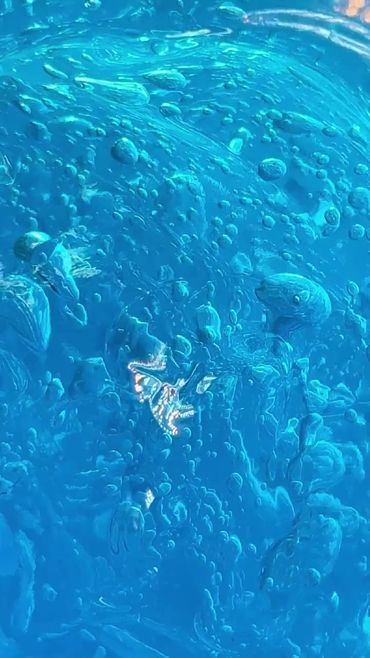 Gel Liquido Blu Dinamico con Bolle d'Aria Scintillanti