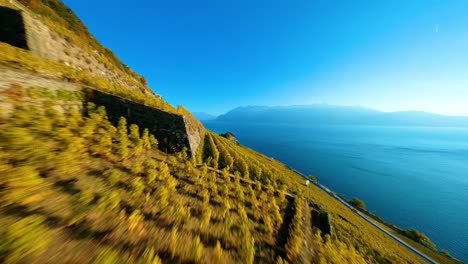 viñedo le dezaley con vista panorámica del lago leman durante el día en vaud, suiza
