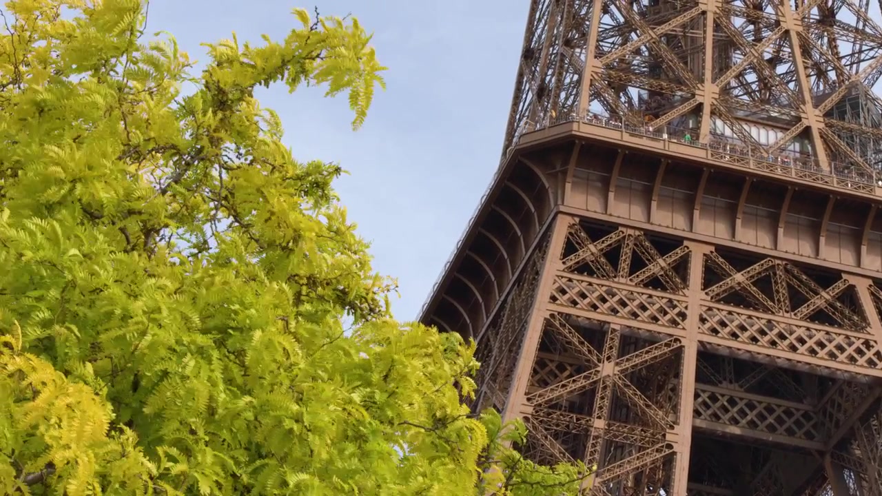 Un'inquadratura dal basso cattura la struttura a traliccio in ferro della Torre Eiffel attraverso gli alberi.