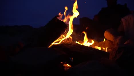fogata en la noche