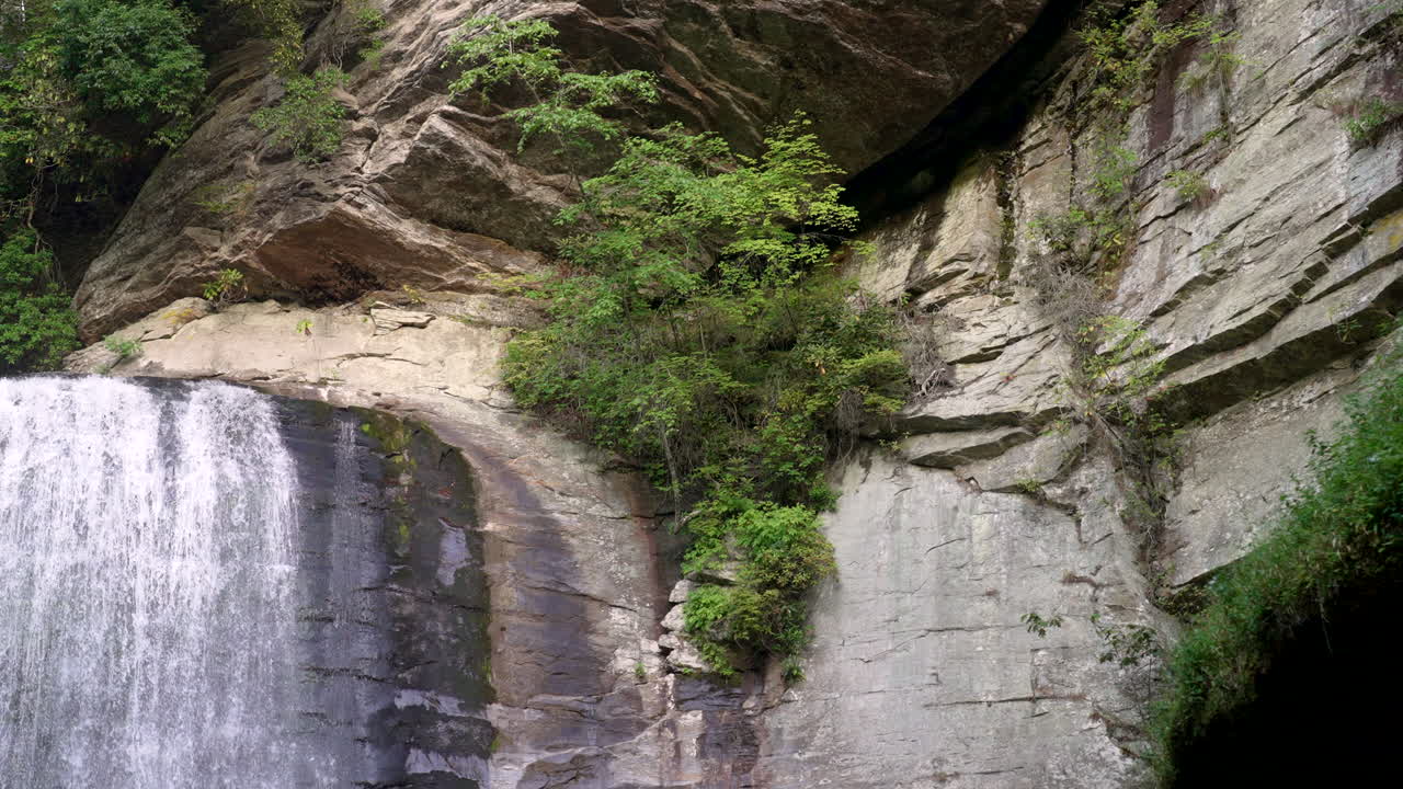 hermosa cascada cayendo por la pared de piedra del bosque en una piscina debajo