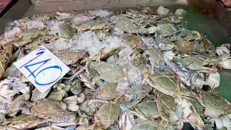 seafood display changes from fish to crabs over time