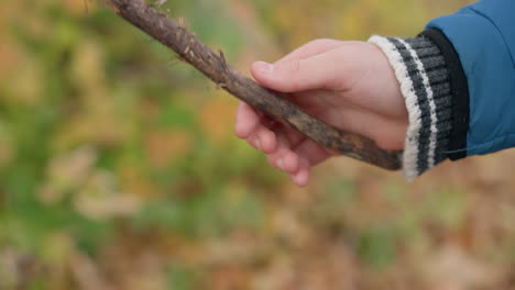 close-up of child's hand holding dry stick in blue jacket, swinging it playfully in autumn setting, with blurred foliage background capturing natural fall fun and outdoor exploration