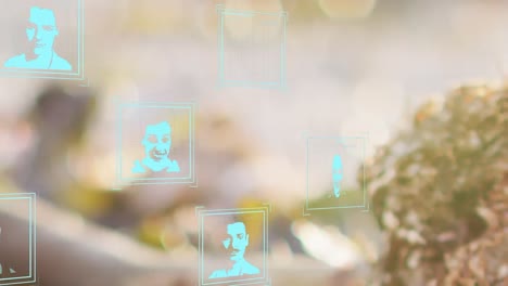 Animation-of-multiple-profile-icons-against-spots-of-light-and-blurred-background