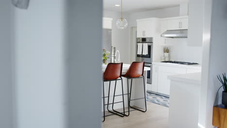 interior view of beautiful kitchen with island counter in new family house