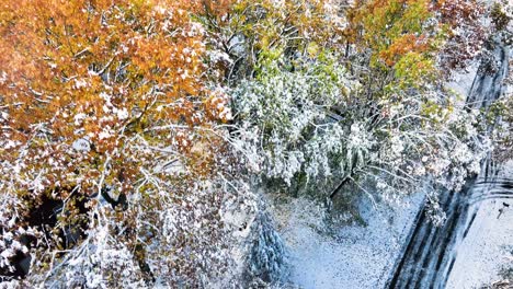 Bajar-El-Dron-Para-Mostrar-Ramas-Cargadas-De-Nieve-Fresca-Después-De-Una-Tormenta-De-Nieve-Temprana.