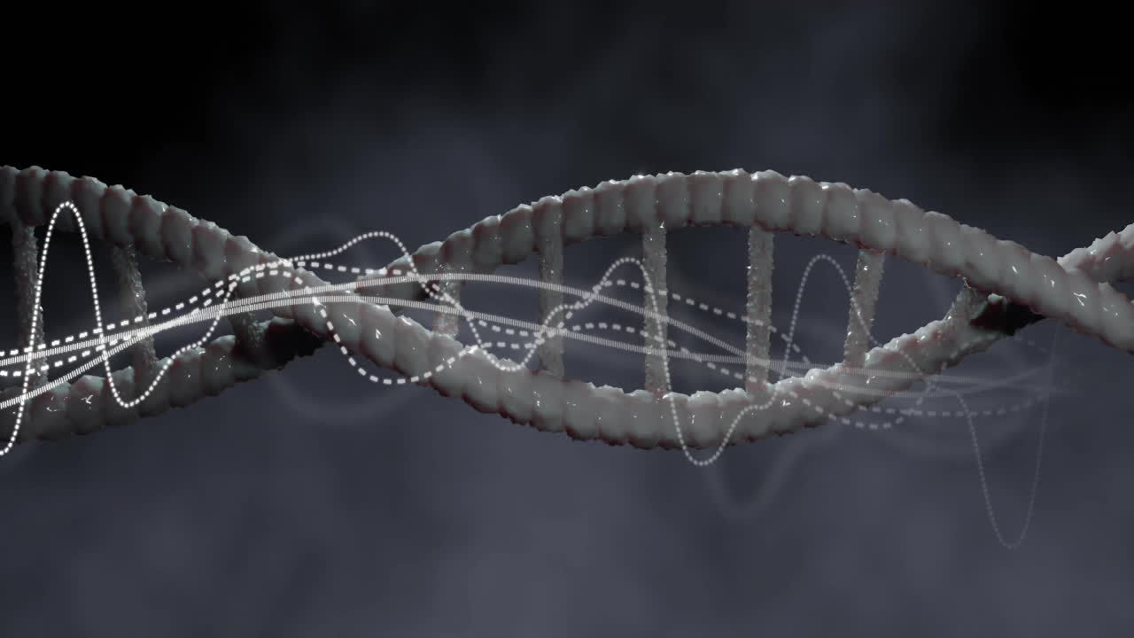 animación del procesamiento de datos digitales sobre la cadena de adn