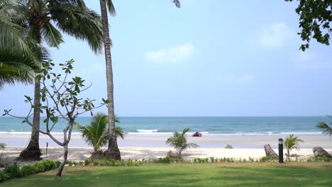 Tropischer-Strand-Mit-Palme