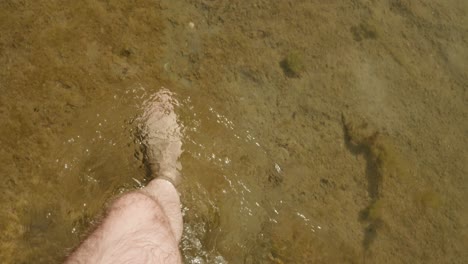 barefoot man walking in the lake with shallow and crystal-clear water at summer