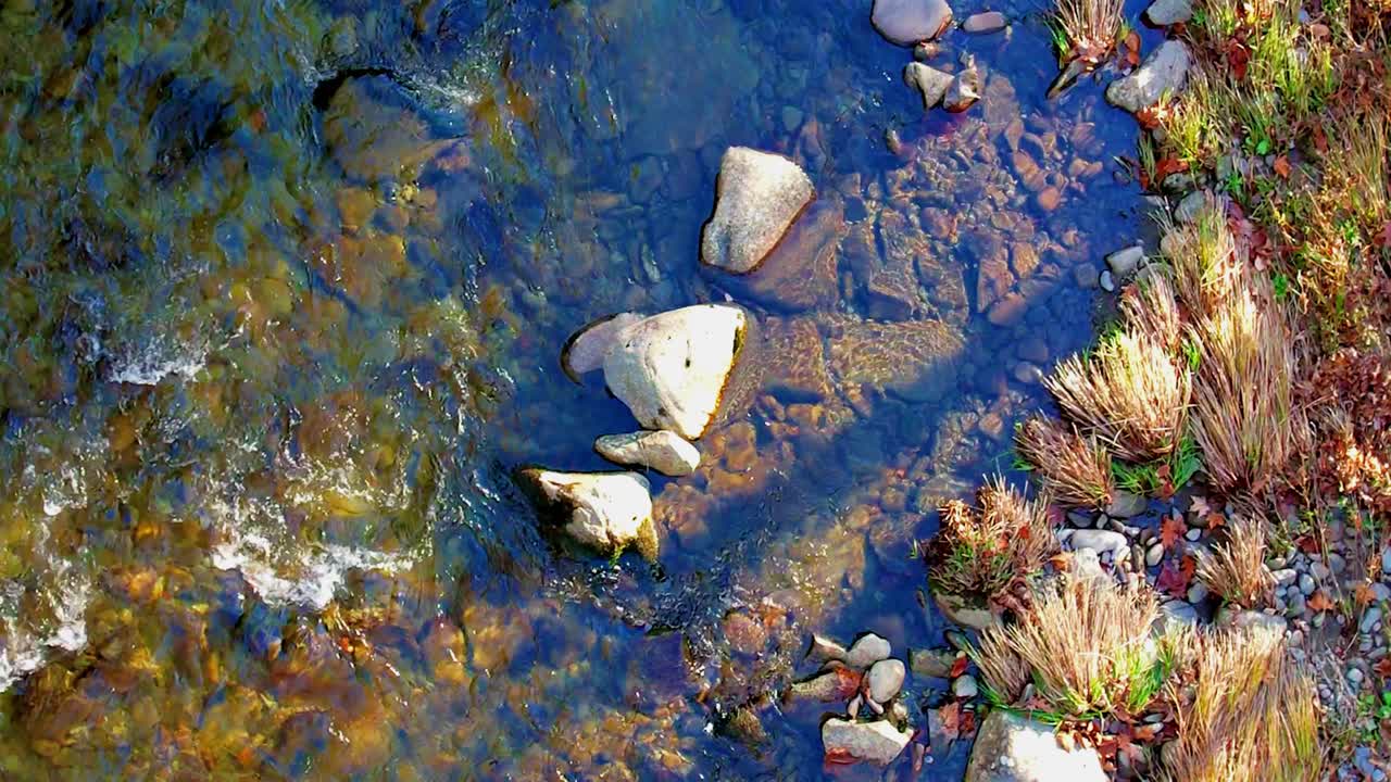 Riprese video aeree a bassa quota con drone al rallentatore, dall'alto, di un ruscello boschivo con erba, rocce, ombre e luce solare durante l'autunno