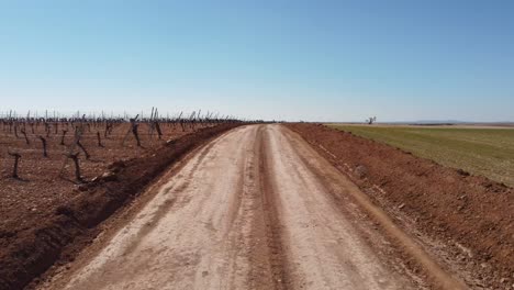 Ruta-Del-Vino