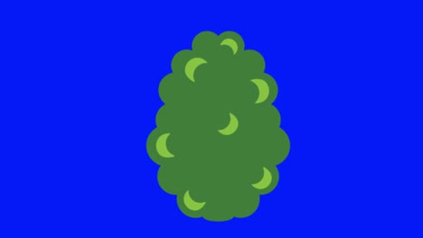 colorful simple animation of a green bush isolated on a blue screen in 4k