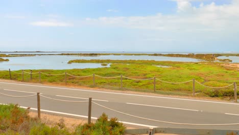 delta ebro road in spain, green wetlands on a sunny summer day