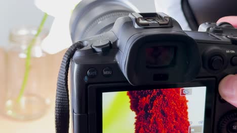 close-up of a camera screen displaying detailed macro shots of a flower's vibrant red petals.
