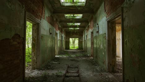 a hauntingly beautiful abandoned corridor overgrown with nature's touch, capturing the decay of time and the resilience of life in a forgotten space