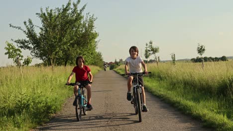 cute happy children, brothers, riding bikes in the park on a sunny summer day, talking and laughing