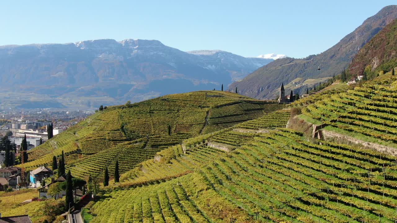 포도밭 위의 공중 드론과 세인트 교회