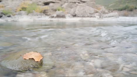 río vjose en albania durante la temporada de otoño