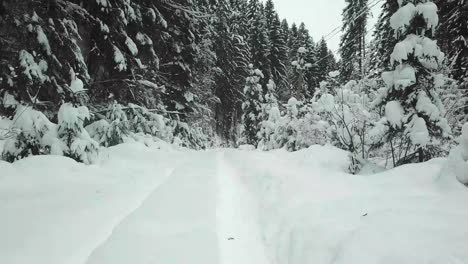 Aerial View of Road in Idyllic Winter Landscape Aerial Drone Shot Aerial View of Road in Idyllic Winter Landscape Aerial Drone Shot