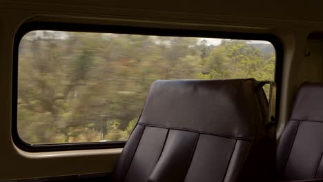 empty train interior travelling past bushland at day