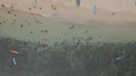 Overhead-drone-shot-of-white-sand-beach-with-clear-turquoise-sea-water