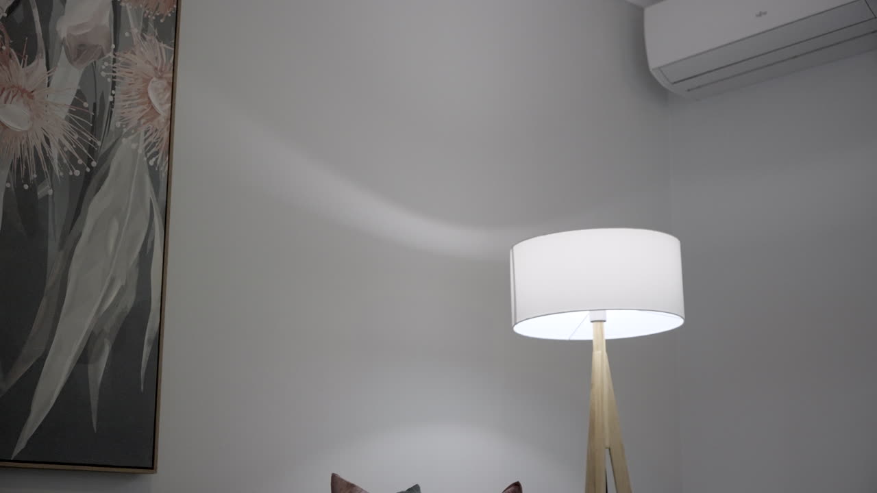 Pan from behind coffee table showing lounge room with plant, pillows, paintings, lamp, coffee and table